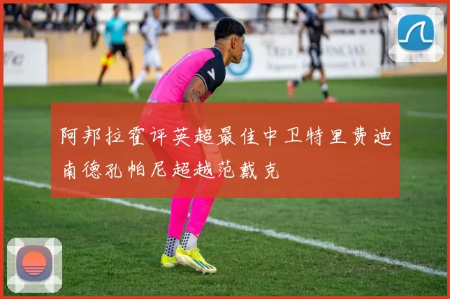 阿邦拉霍评英超最佳中卫特里费迪南德孔帕尼超越范戴克