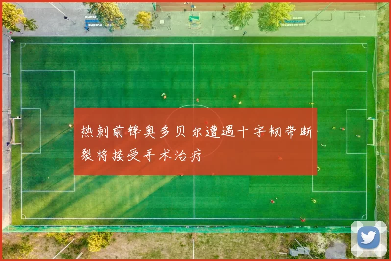 热刺前锋奥多贝尔遭遇十字韧带断裂将接受手术治疗